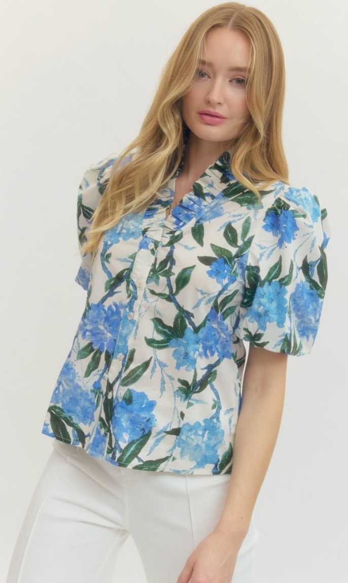 Hydrangea Daydream Top