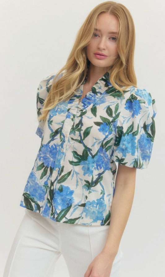 Hydrangea Daydream Top