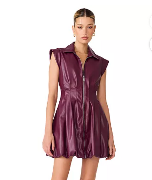 Dyanne Dress- Plum